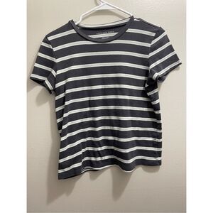 American Eagle Medium Gray and Blue Striped T Shirt